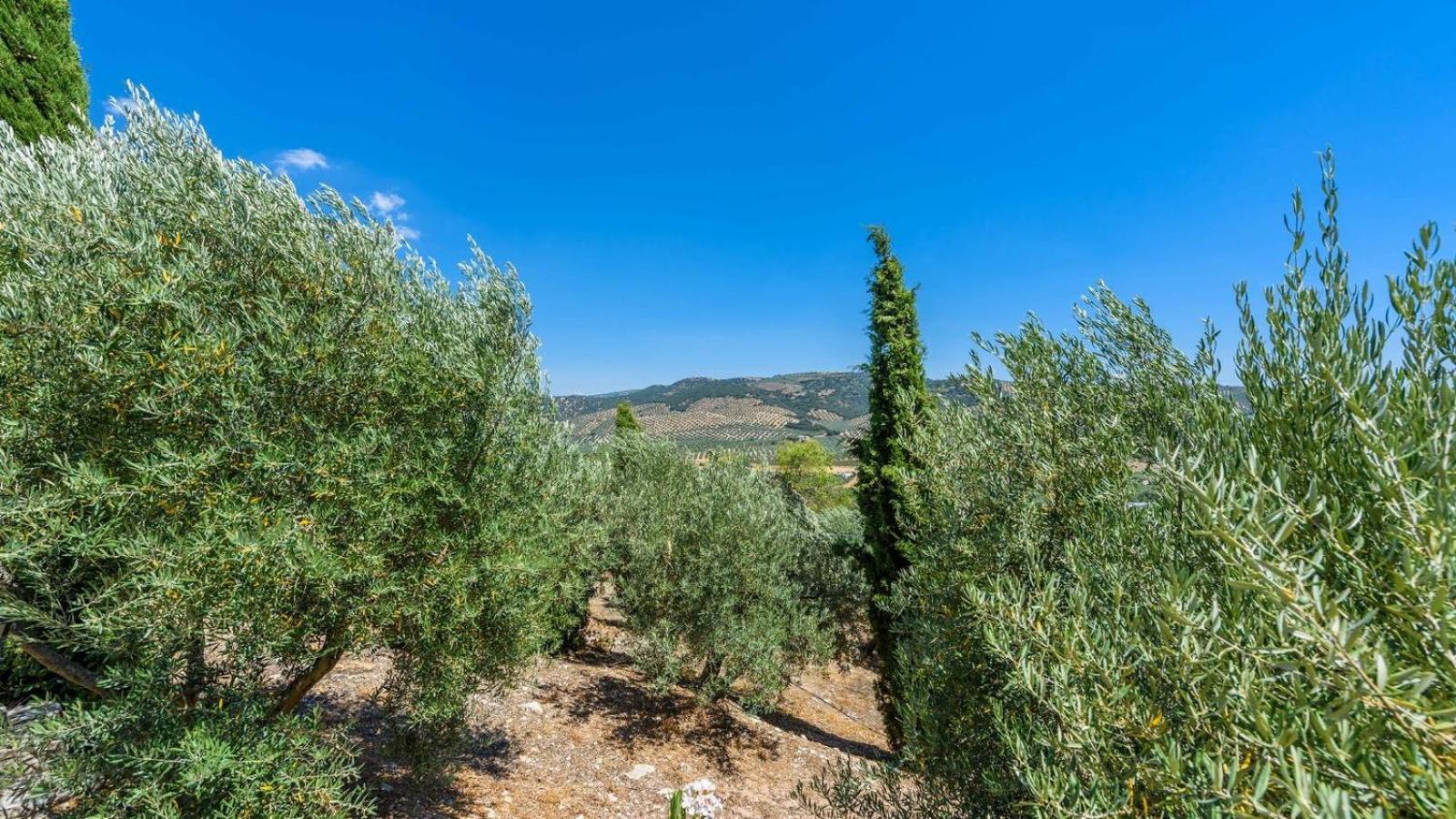 Cortijo Casablanca Priego De Cordoba By Ruralidays Villa Eksteriør billede